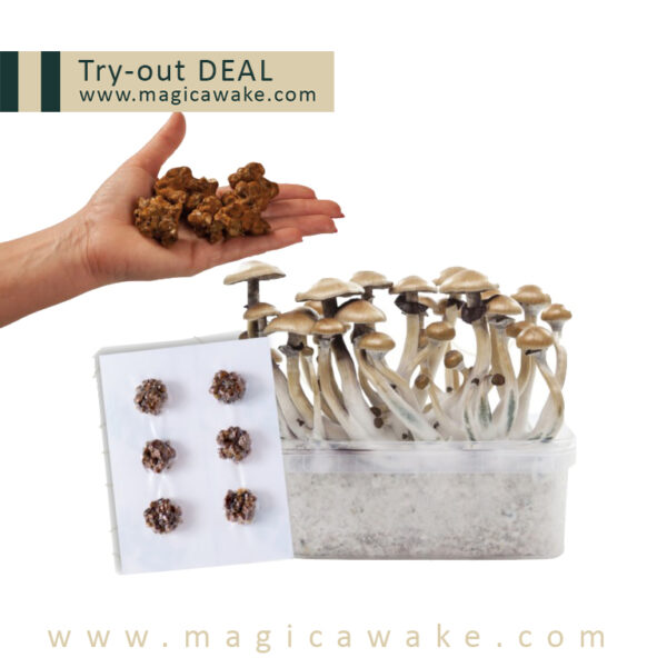 Try-out DEAL Magic Awake Bundle