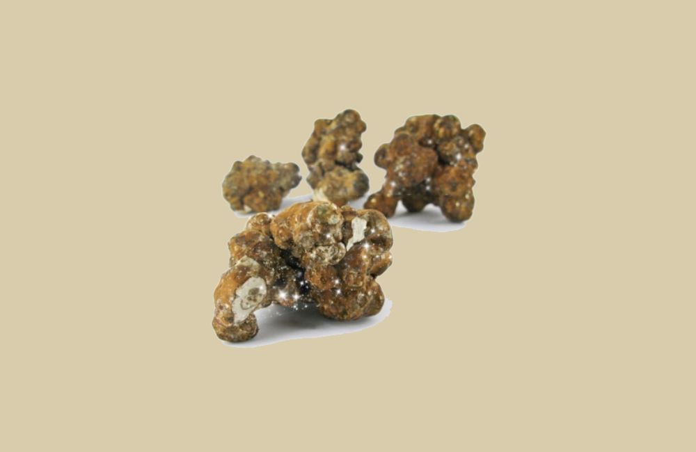 Highdosing Magic Truffles