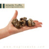 Magic Truffles Atlantis (15g)