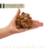 Magic Truffles Hollandia (15g)