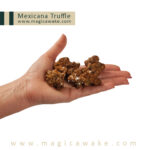 Magic Truffles Mexicana (15g)