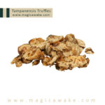 Magic Truffles Tampanensis
