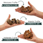 Triple Truffle DEAL