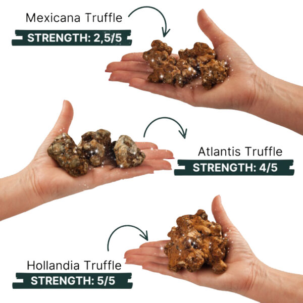 Triple Truffle DEAL